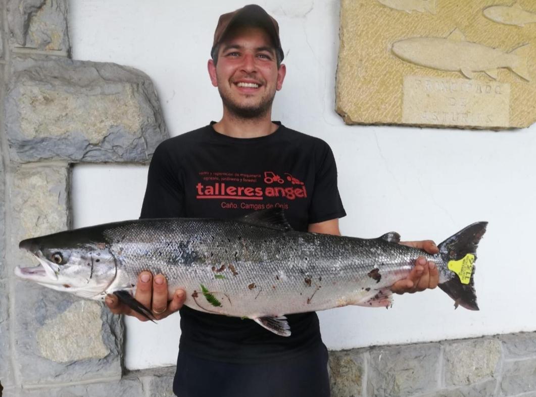 La Salmonera Cangas De Onis Caño Екстериор снимка